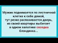 Соседка в Халатике и Мужик! Подборка Веселых Жизненных Анекдотов! Юмор!