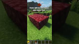 Every Minecraft Player Has Done This... #minecraftmemes #minecraft #mc #shorts #reels #fyp #gaming