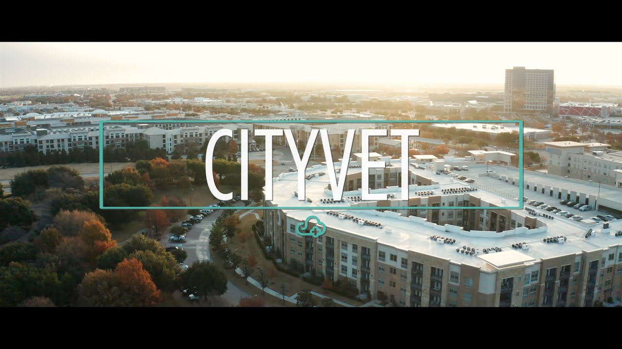 ezyVet Customer Story – CityVet