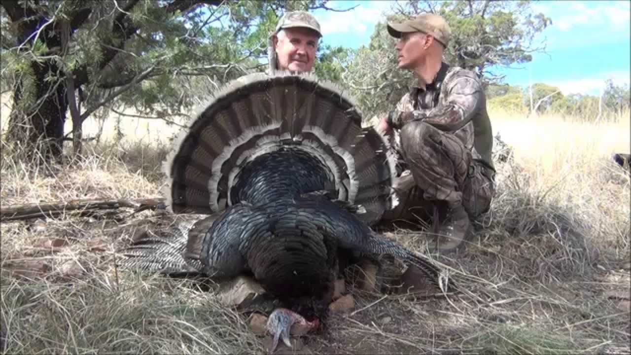 Arizona Gould's Turkey Hunt 2014 AZ Super Raffle Tag YouTube