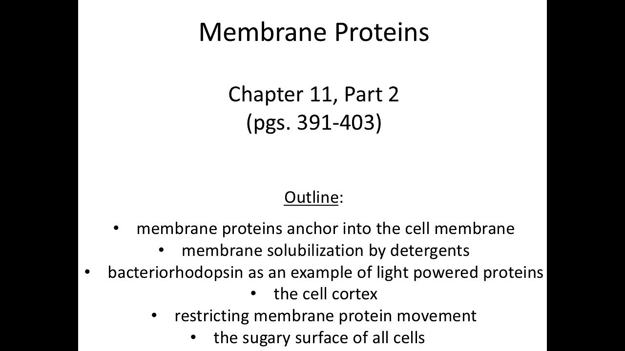 Lecture 13 Membrane Proteins Ch 11 Pt 2