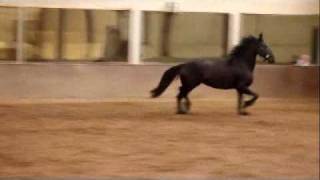 Selahjrb April2010.Wmv