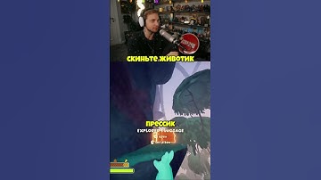 #стинт #стинтик #stint #stintik #твич #стрим #стример