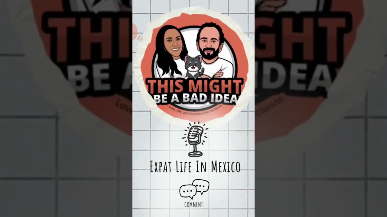 Our Cat Investigated the Jungle… Then Immediately Regretted It