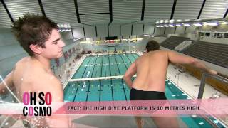 Weir In The World - High Dive