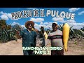 DOCUMENTAL DEL MEJOR PULQUE DE MÉXICO // 2da PARTE // RANCHO SAN ISIDRO