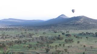 Tanzania 2018 - Serengeti Hot Air Balloon 3