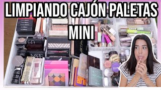 SACO MÁS del 70% 😳 MINI REVIEW | PALETAS, SOMBRAS INDIVIDUALES, PIGMENTOS,..