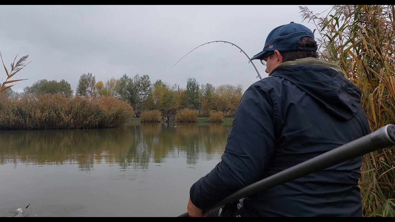 Blond Carp Brothers - Ordas tavak - 2022.11.01. Döntetlen ( 10-10 ) #csakapeca