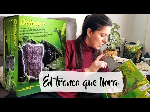 El tronco que llora. DRIPPER. Hidratar por goteo | daden Reptilera