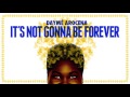 Daymé Arocena - Its Not Gonna Be Forever (radio edit)