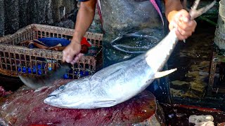 DELICIOUS FISH ACEHNESE 2024 🔪🔥|| BABY TUNA FISH CUTTING SKILLS FOR STEAK || STREET FOOD