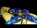 Sea lion pup takes kayak ride