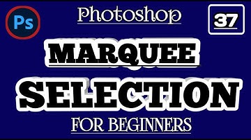 marquee selections in adobe photoshop #adobephotoshop #marquee #urdu