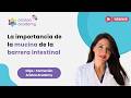 La importancia de la mucina de la barrera intestinal