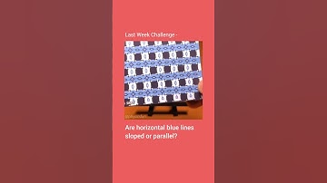 Sloped And Parallel Illusion Challenge