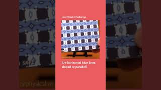 Sloped And Parallel Illusion Challenge