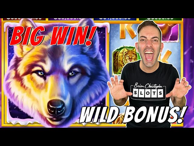 BIG WIN ON CASES! #lucidfft #roblox #gambling #rblxwild @ttv