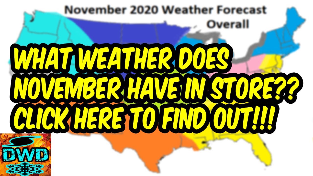 November Forecast 2020