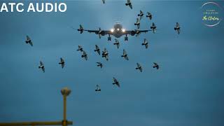 AMERICAN AIRLINE 1539 BIRDSTRIKE Engine Failure on Final Deviate to KIAD | Air Traffic Control Audio