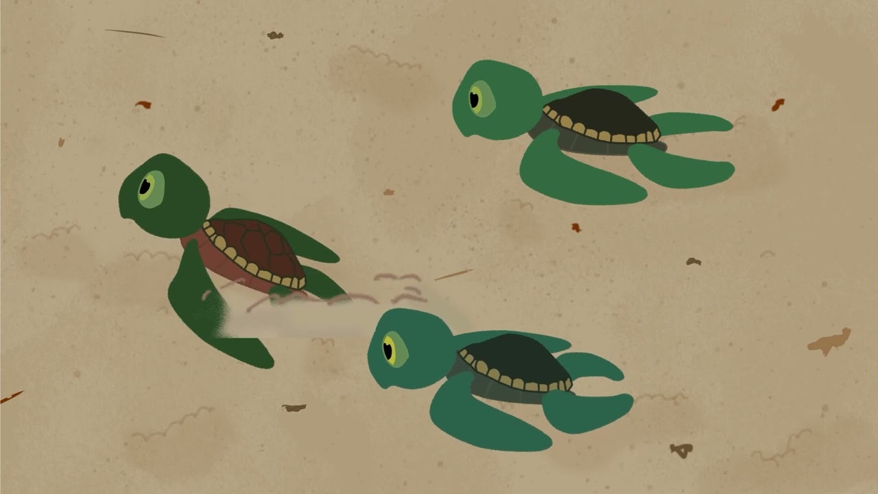 2D Animation, Brought to Life!