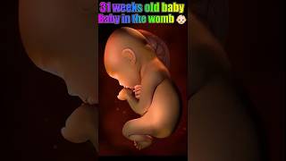 31 weeks old baby in womb ????257 shorts fetal baby fetus pregnancy