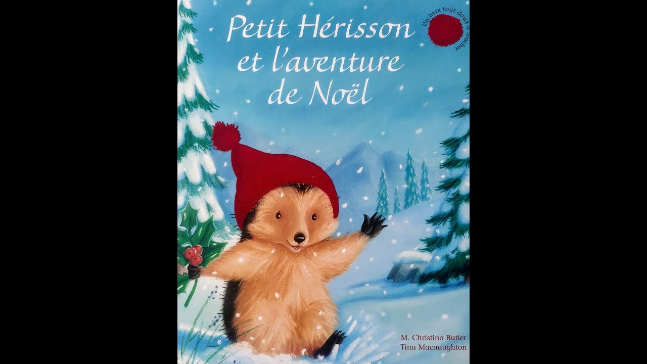 Petit hérisson et l'aventure de Noël
