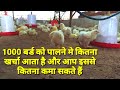 1000 बर्ड को पालने मे खर्चा और कमाई कितनी होती है। 1000 Poultry bird production cost and income