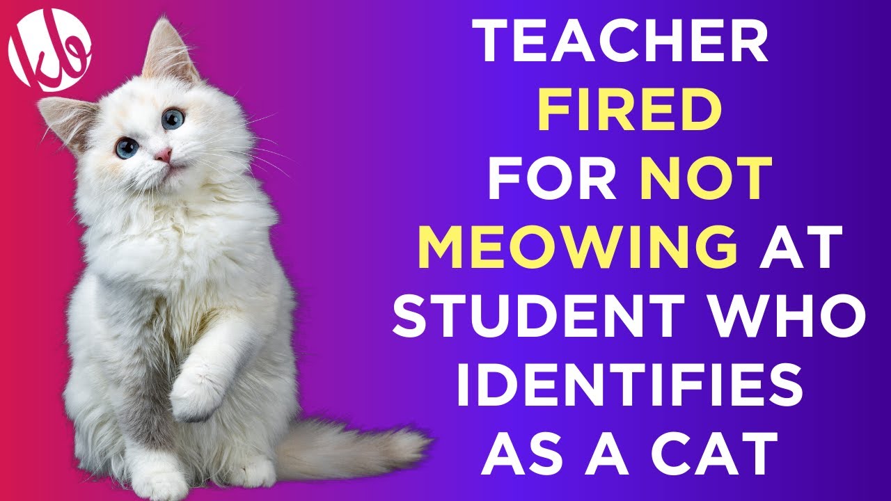A teacher was fired for NOT MEOWING at a student who identifies as a ...