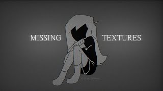 MISSING TEXTURES | MEME