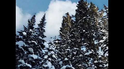 Ski Trip Vail, CO 2018
