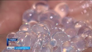 Башкирский катализаторный завод вывел на рынок импортозамещающий силикагелевый адсорбент Башкирский катализаторный завод вывел на рынок импортозамещающий силикагелевый адсорбент