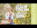 【葉山暮らし】伊藤千桃さんのポリデント＆ポリグリップのある1日。私らしい自由のために。