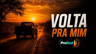 Volta Pra Mim Eletronejo Sertanejo Edm Official Audio Probeat