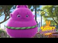 Sunny Bunnies | esercizio | Cartone animato divertente per i bambini | WildBrain