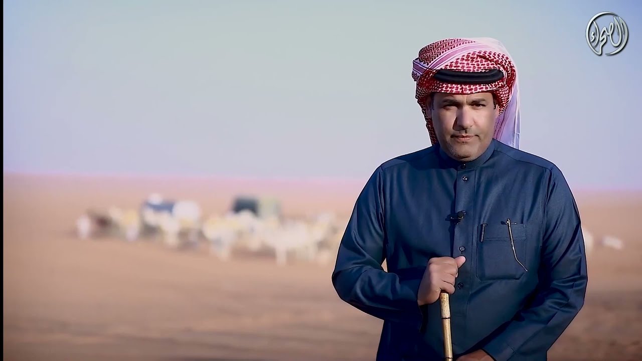 برنامج على الاطلال - مسميات الإبل وحياة الراعي