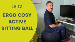 Leitz Ergo Cosy Active Sitting Ball