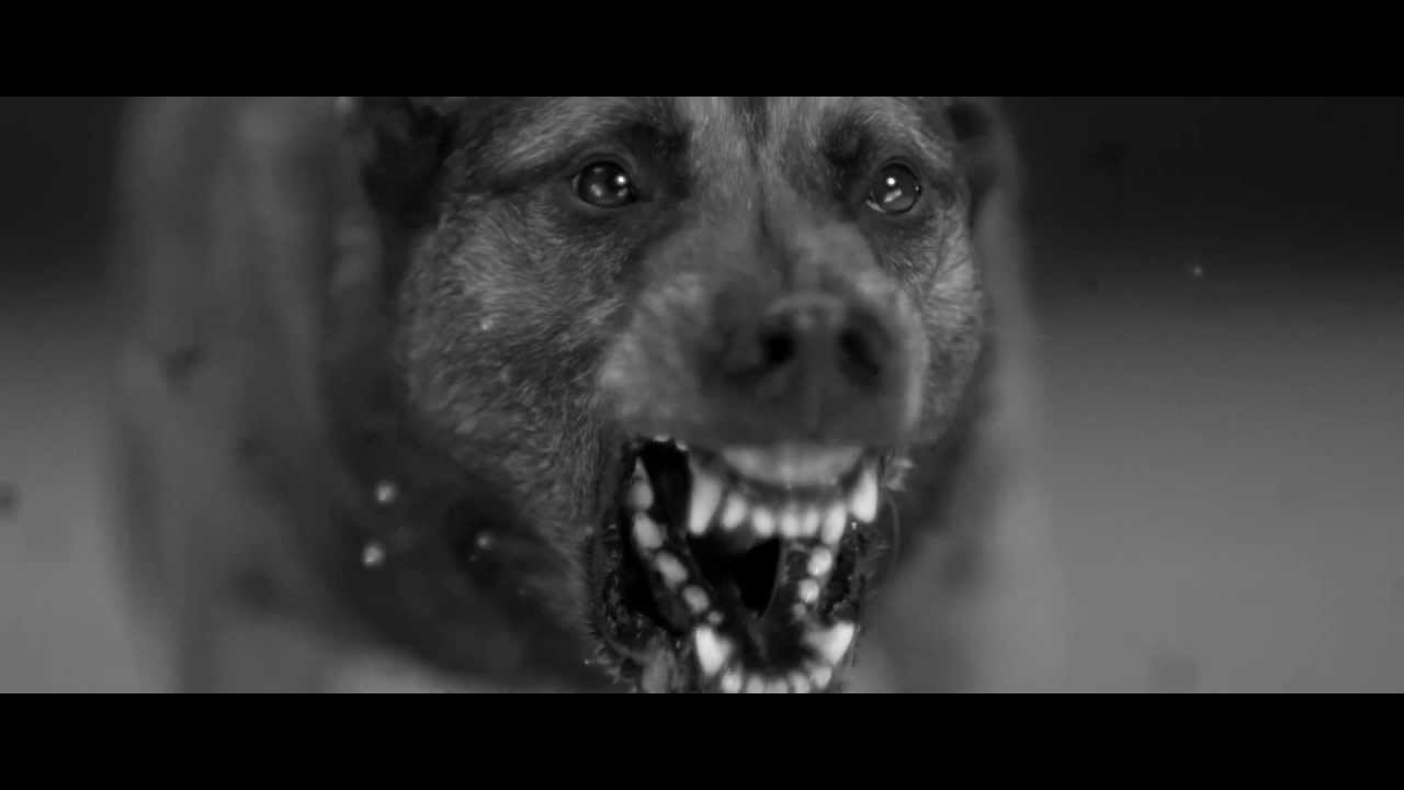 Woodkid Iron (Lyrics) (HD1080p) YouTube