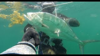 Spearfishing 2022 INDIA, SILVERJACKET (LIHIYA). Подводная  охота  2022