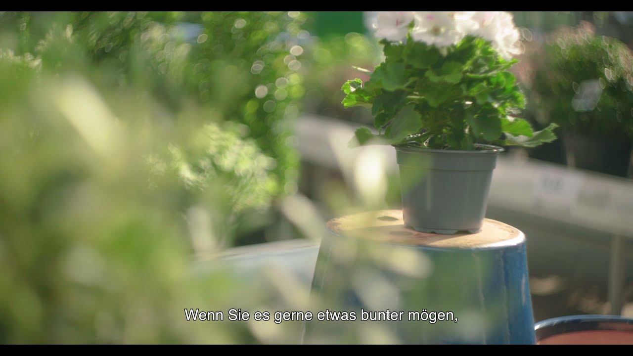 Update Desch D-Tectplus - Der Neue Nachhaltige Blumentopf