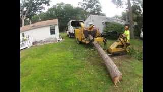 Tree Removal in NJ - Power Tree Chipper / Mulcher
