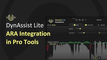 DynAssist Lite - ARA integration in Pro Tools