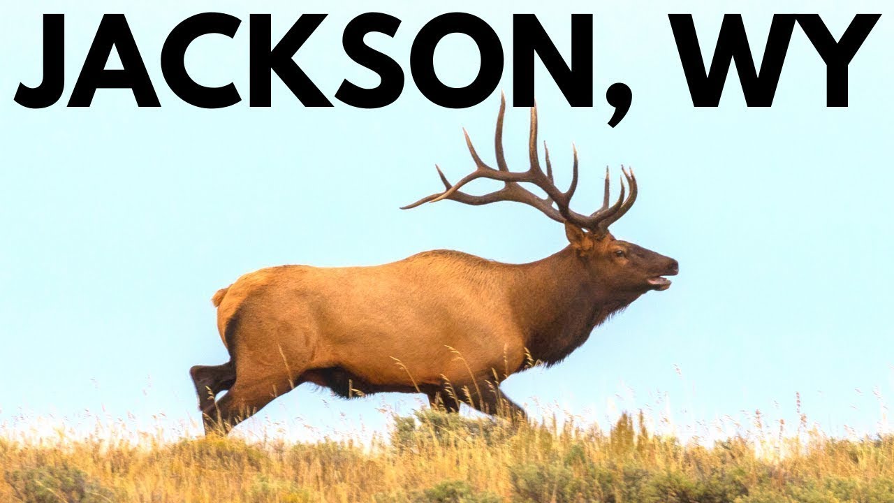 The Best of Jackson, Wyoming: 14 Great Things to Do! - YouTube
