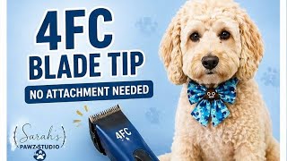 Mabel the Cockapoo | 30 Second Grooming Tidy Up