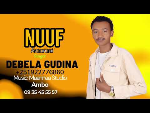 DEBELA GUDINA NUUF ARAARAMI