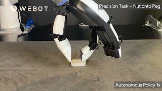 Humanoid Precision Task