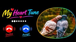 Heart Tune ❤️ | New Love Ringtone | Romantic Call Tone 2026 | Trending Ringtone screenshot 4