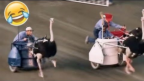 Best Fails of The Week: Funniest FailsCompilation: Funny Video | FailArmy part -21
