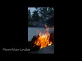 MoonArtas-Laužas