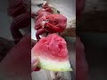 Stop scrolling! I can't stop watching this #bearinglion#Lzardegg#hungryLzard #CutePetVlog#funny#food